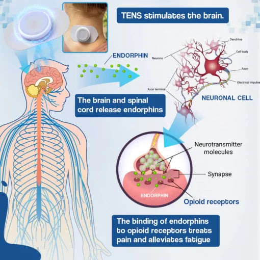 Sugoola™ [Tens] Electrical Nerve Stimulation Therapy – Smart Portable Massager