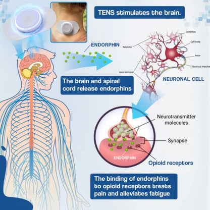 Sugoola™ [Tens] Electrical Nerve Stimulation Therapy – Smart Portable Massager